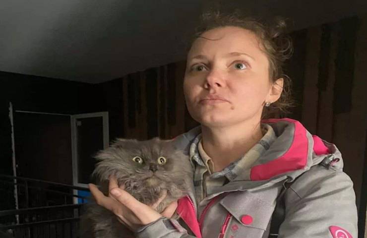 felino si allontana durante conflitto Ucraina ritrovato per miracolo
