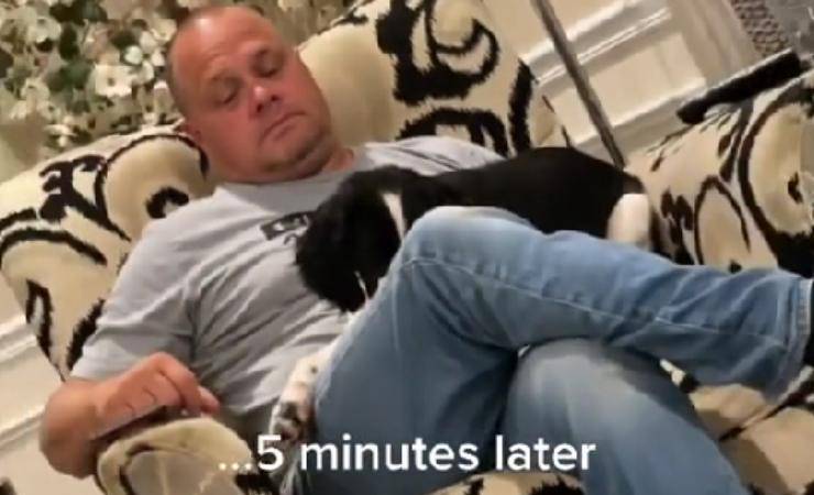 videos de papa y perro