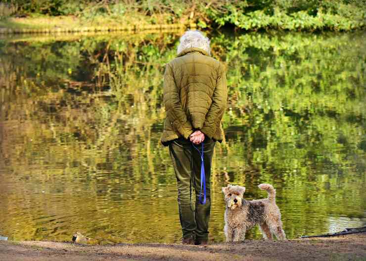 Persona anziana al parco con cucciolo (Pixabay)