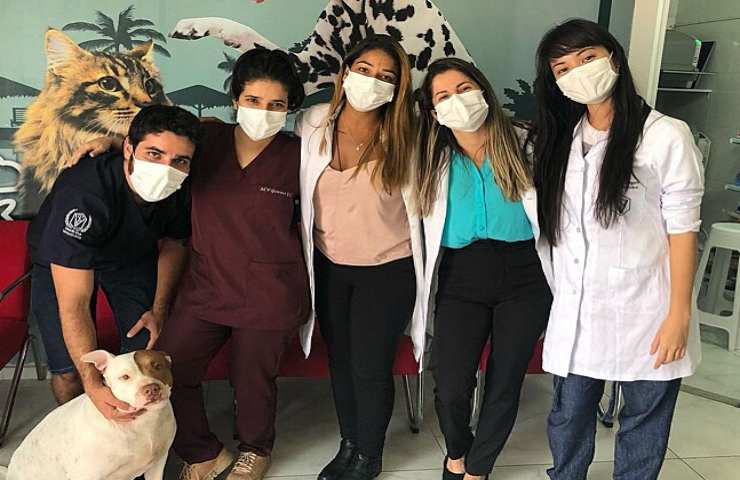 equipe medica cuccioli pericolo veterinari