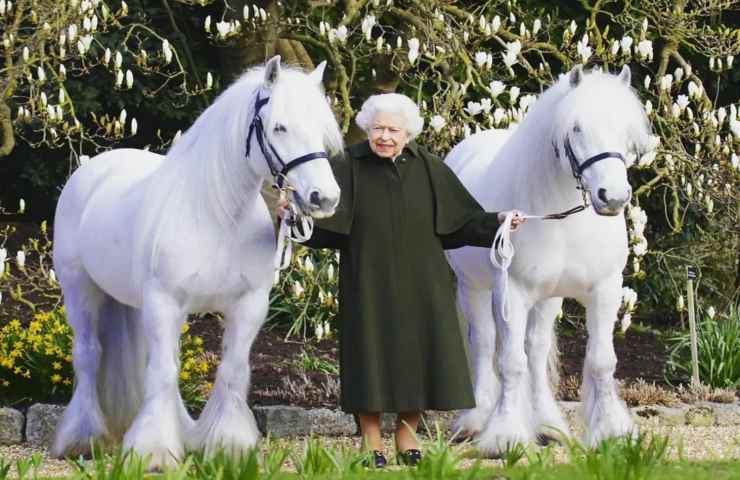 regina Elisabetta compie 96 anni foto cavalli