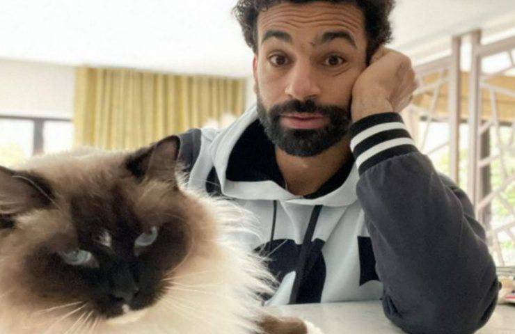 calciatore Liverpool Salah animalista ama felini