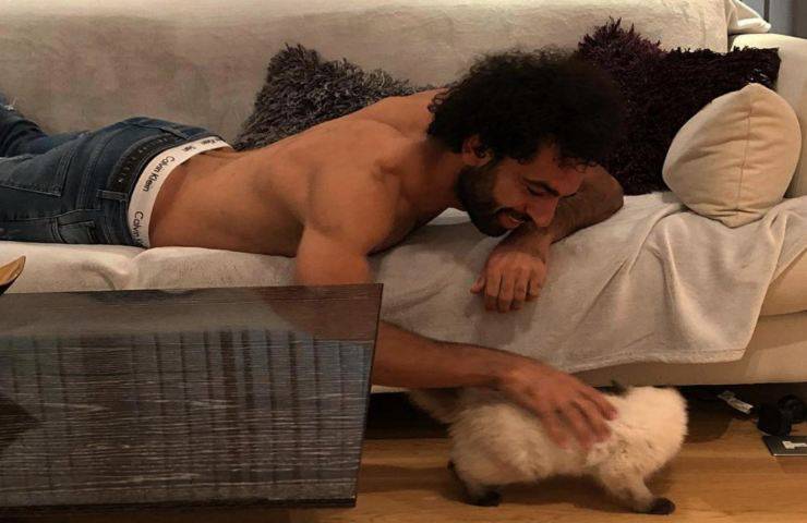 calciatore Salah mostra amore animali video