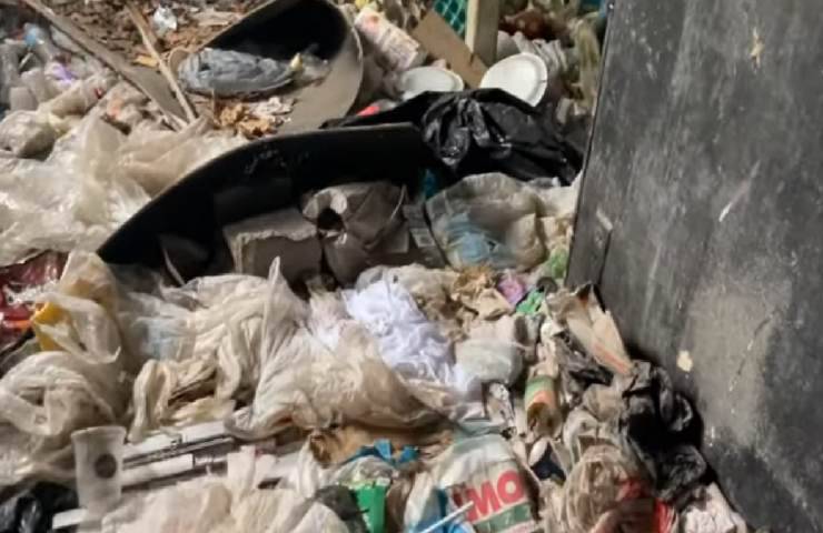 spazzatura dove sono stati trovati gli animali