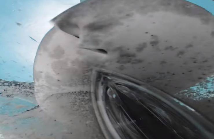 squalo divora telecamera subacquea immagini incredibili video