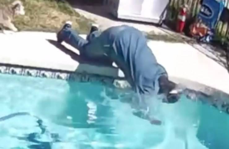uomo tenta salvare cane caduto piscina esilarante video