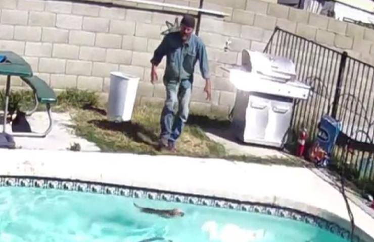 hombre cae del agua para salvar a su mascota