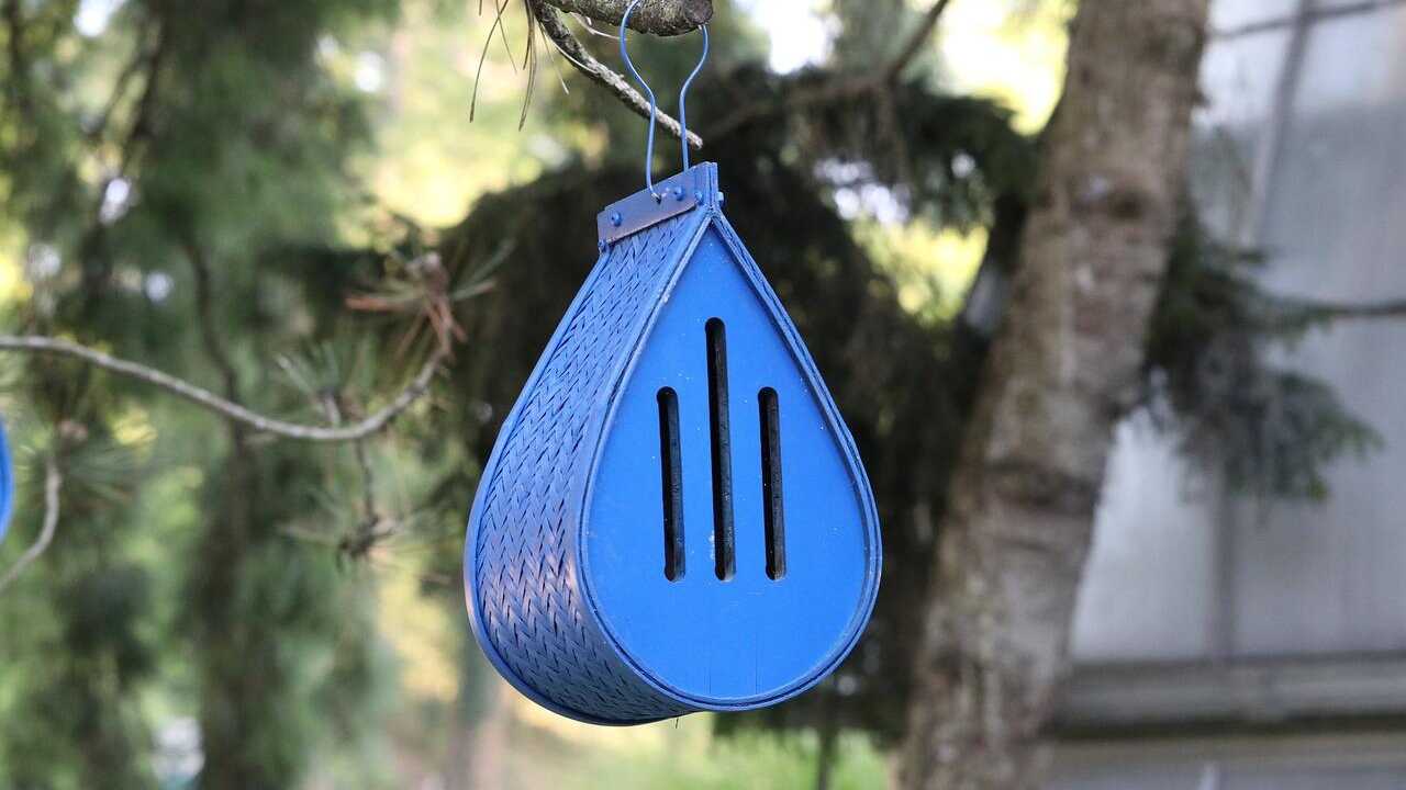 ZACUDA 48 Pezzi Farfalla In Legno Farfalle Incompiute In Legno Farfalle