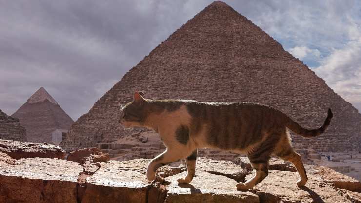 perché gli egizi mummificavano gli animali