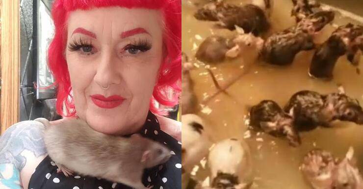 Donna fa il bagno ai suoi 50 topi domestici e diventa virale (Video)