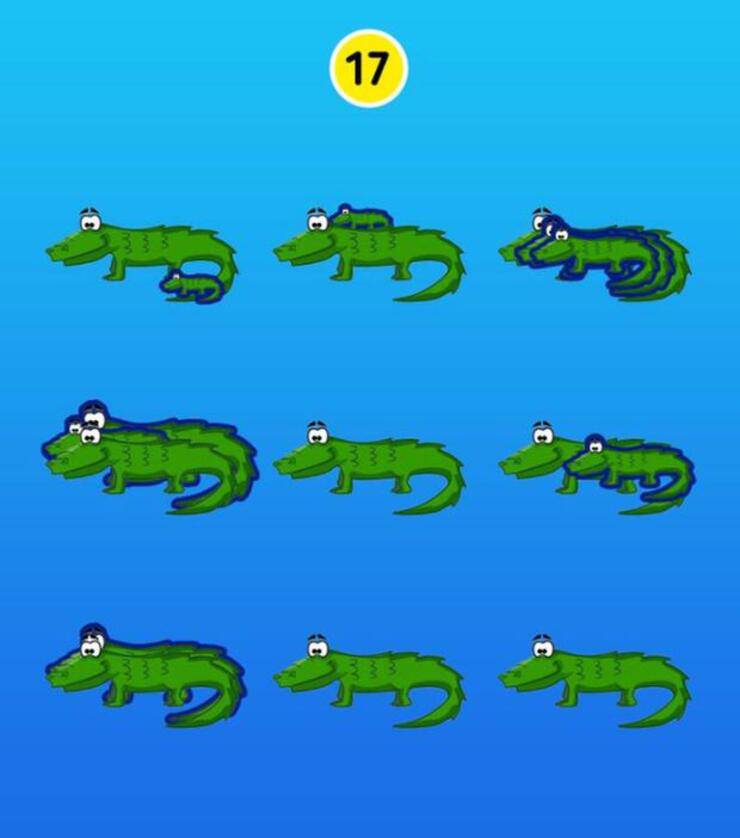 Soluzione del test, ecco quanti alligatori si nascondevano nell'immagine