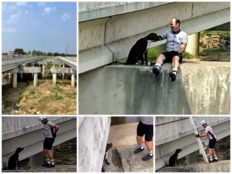 Cane boccato tra la vita e la morte su un ponte salvato dai ciclisti (Screen Video)