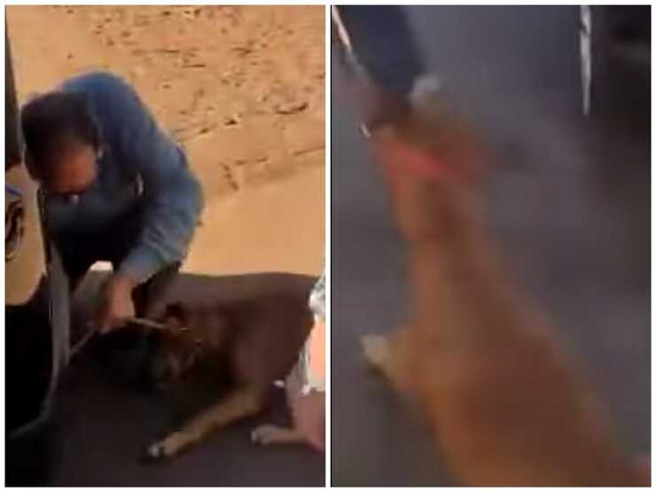 Trascina il cane con la macchina: nell'auto un fucile per ucciderlo (Screen Video)