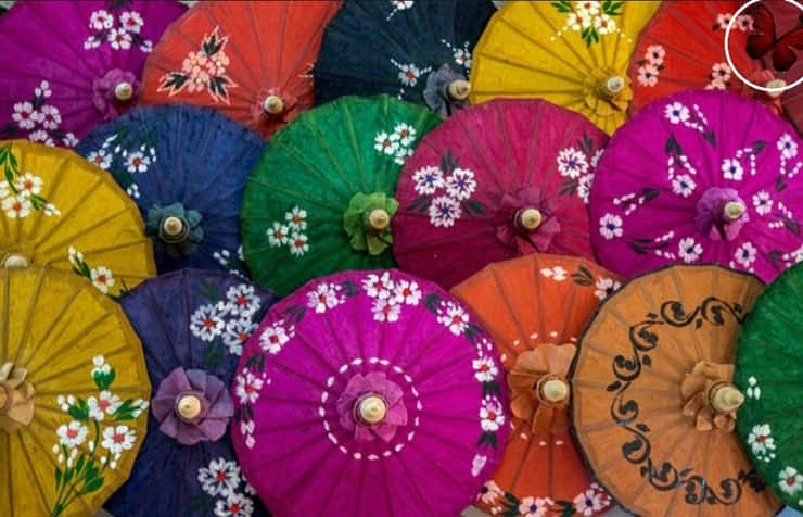  (Foto Pixabay/ AmoreA4Zampe )