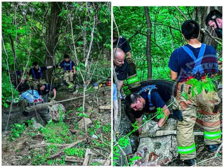 Cucciolo resta bloccato sotto una lastra di cemento durante l'inseguimento (Foto Facebook)