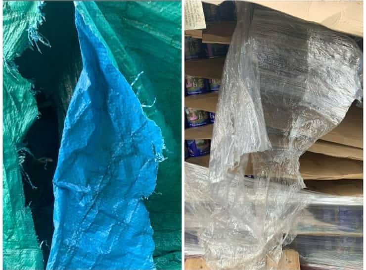 L'associazione benefica viene derubata lasciando così i cuccioli senza cibo