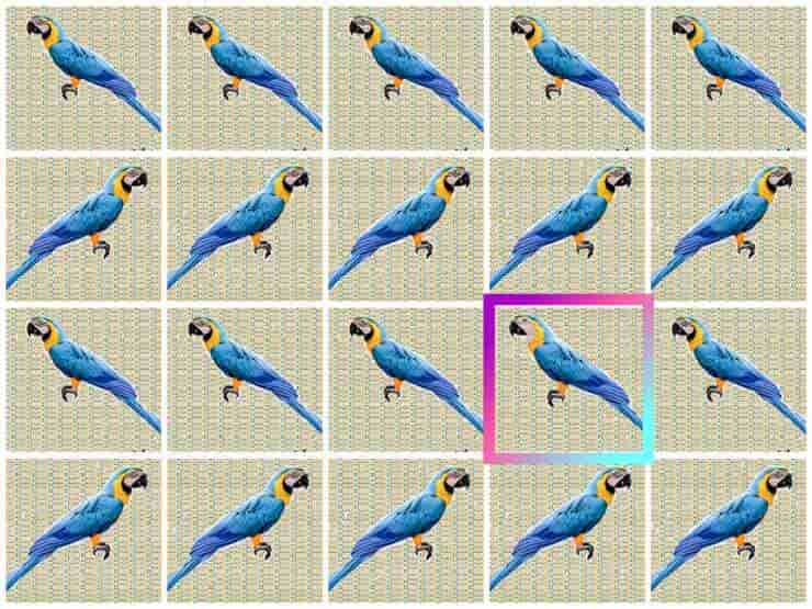 Il test visivo del pappagallo diverso solo i più astuti riescono a trovarlo