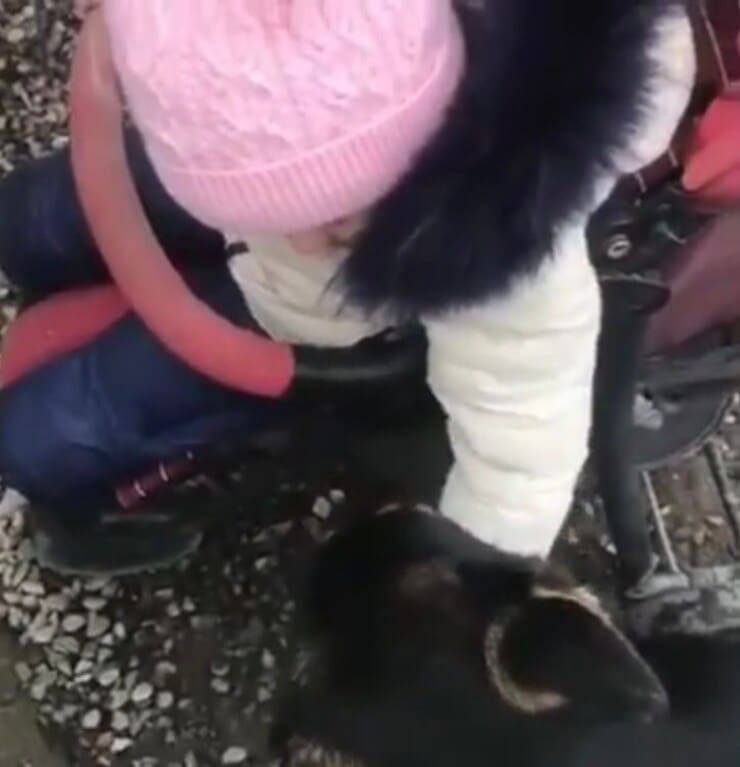 Bimba che ridà speranza al cuore della cagnolina (Screen video Youtube Animal Shelter)