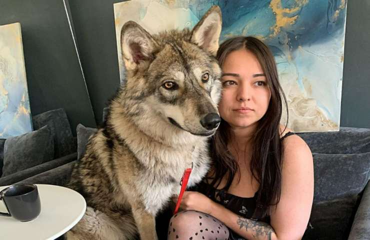 donna adotta cucciolo lupo animale domestico video
