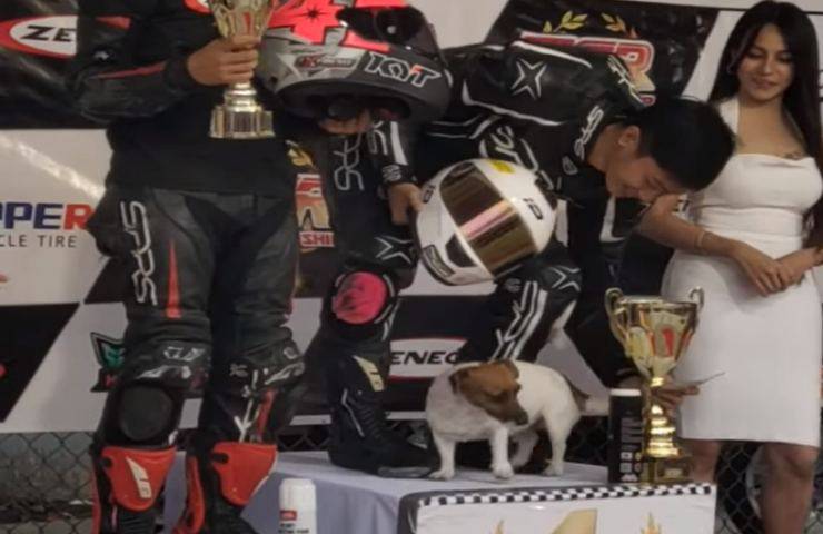 cane invade podio festeggiare proprietario video