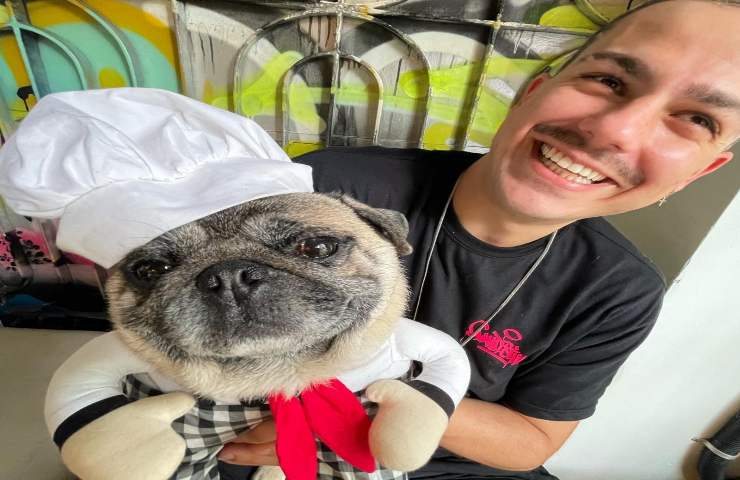 animale domestico influencer carlino Brasile Instagram