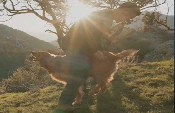 cane balla proprietario modo inusuale video