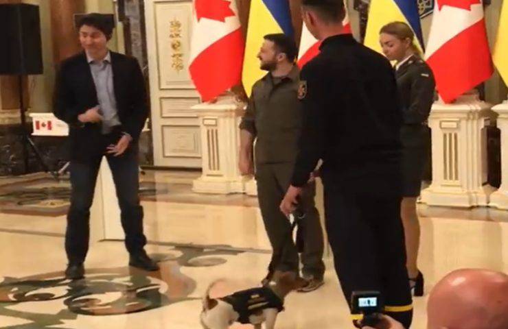 cane diventa eroe nazionale Zelensky mansione video