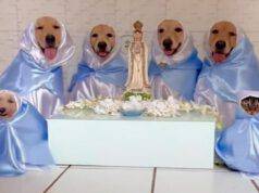 animali omaggio santi chiesa cattolica video