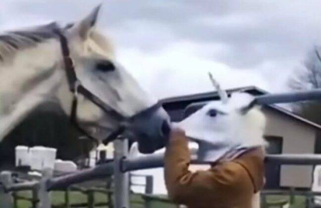 Mara Venier Chiede Rispetto: continuano A Dirmi Di Andare In Pensione Ma Resto