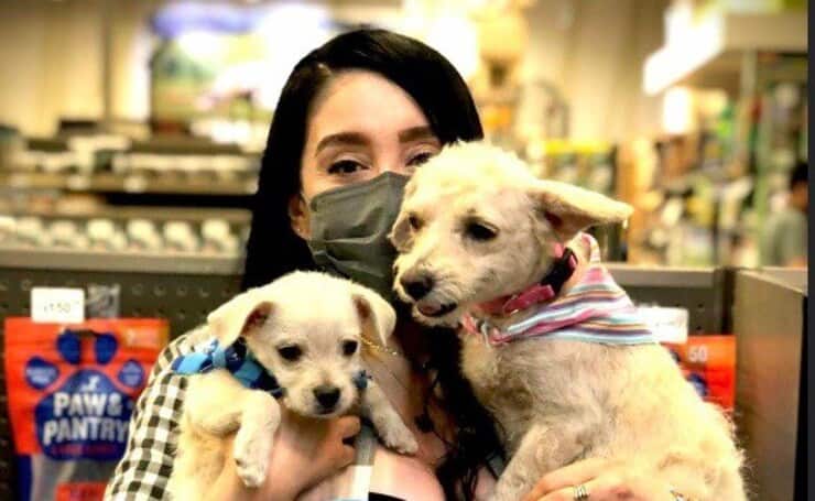 Cuccioli adottati insieme (Screen Facebook Fundación Laika Protectora de Animales, A.C.)