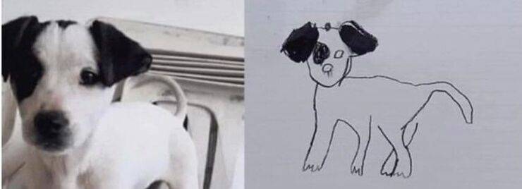 Le bimbe disegnano il loro cane scomparso (Screen Facebook Solovino)