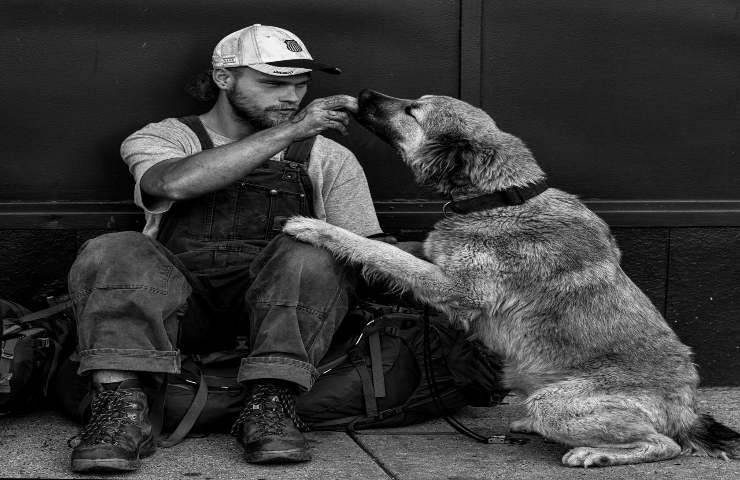 ragazzo senza fissa dimora cane vivono strada