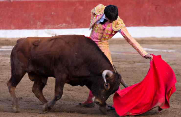 Città del Messico dice stop alla corrida 