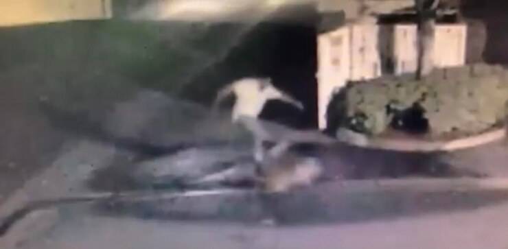 Uomo picchia il suo cane (Screen video)