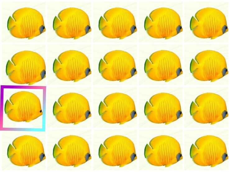 Il nuovissimo test visivo del pesciolino diverso da tutti gli altri (Foto Pixabay/amorea4zampe )