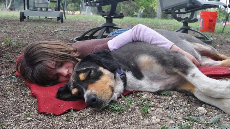 cane e bambina