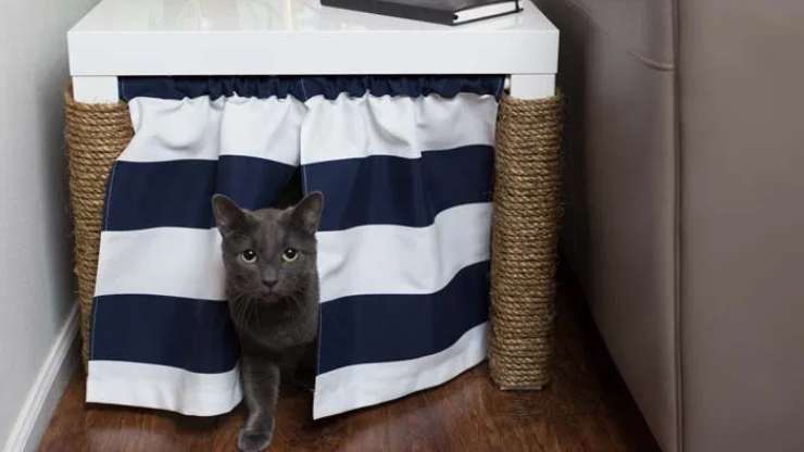 muebles de arena para gatos