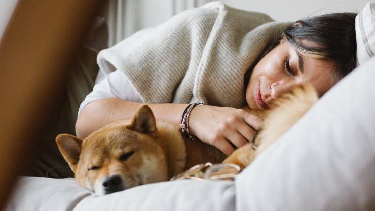 qualità del sonno del cane dipende dal proprietario