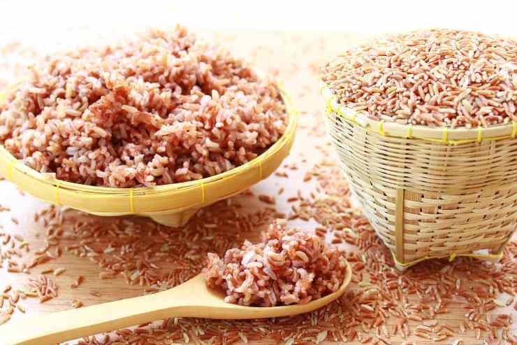 arroz rojo para fido