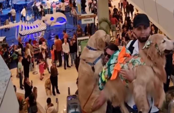 animali domestici portati incontro festa Brasile centro commerciale
