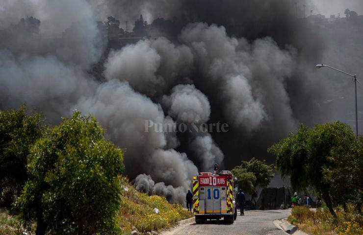 fumo incendio pericoloso gattino trovato tra le fiamme