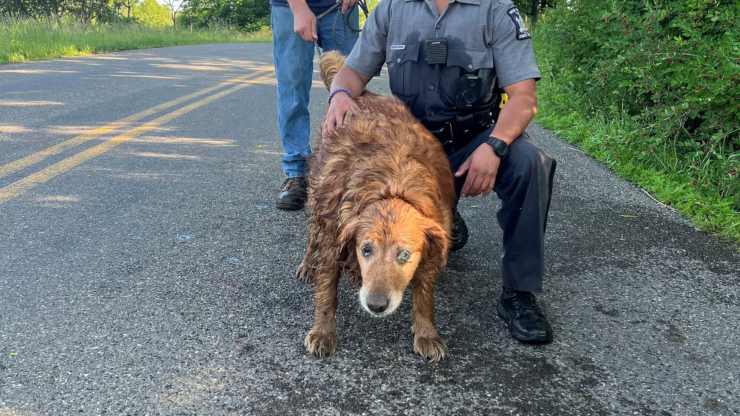 cane salvato da poliziotto