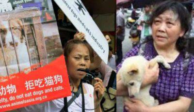 salvati 386 cani da un camion