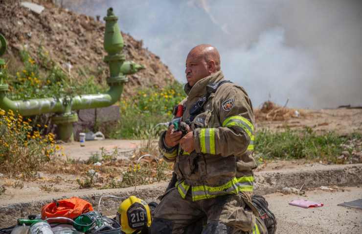 pompieri salvano fiamme gattino appena nato