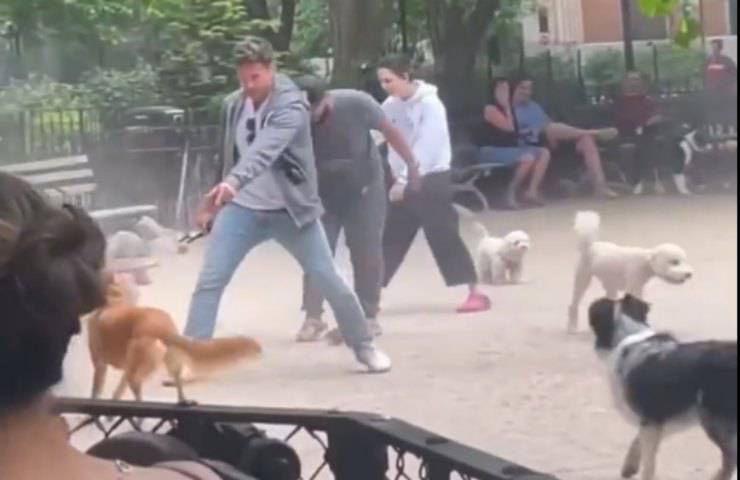 ratto parco scompiglio cani episodio virale video