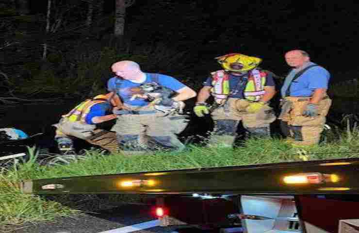 salvataggio cane incidente macchina 