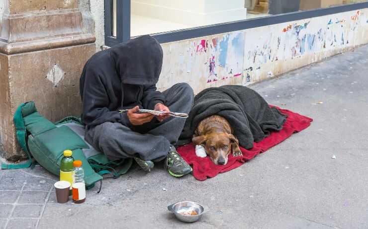 Barcellona: firmato l'accordo per tutelare gli animali dei senzatetto 