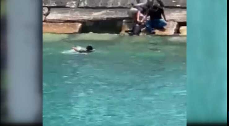 Cane sta per annegare la scena drammatica ripresa in video (Screen Video)