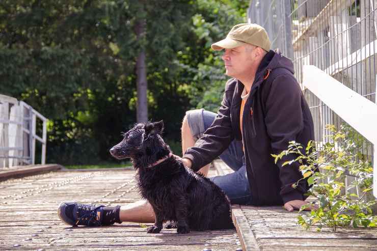 Il cane si rilassa col padrone