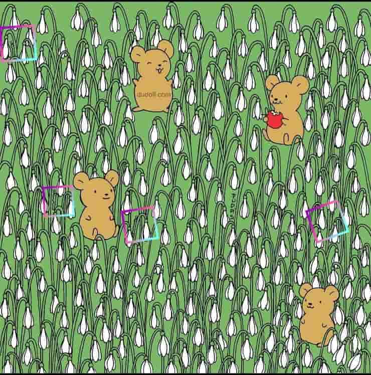 Riuscirete a trovarli ?Il test visivo sfida la vostra capacità di osservazione